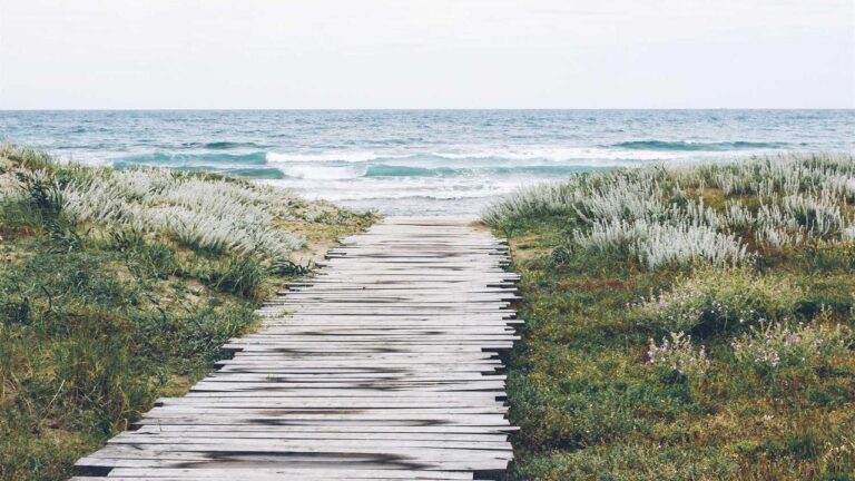 How To Play Toss Games Inside Cricbet99?